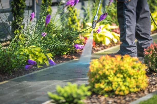 New Prague, MN Pressure Washing Services Company